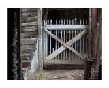 getphpbbimage.php?id=241220