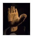 getphpbbimage.php?id=241571