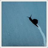 getphpbbimage.php?id=242591