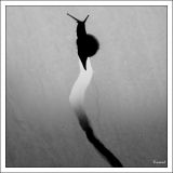 getphpbbimage.php?id=242667