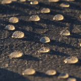 getphpbbimage.php?id=242735