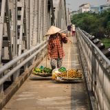 getphpbbimage.php?id=243091