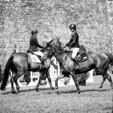 getphpbbimage.php?id=243778