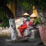 getphpbbimage.php?id=243991