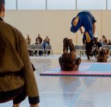 getphpbbimage.php?id=244183