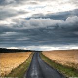 getphpbbimage.php?id=244389