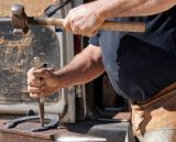 getphpbbimage.php?id=245007