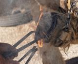 getphpbbimage.php?id=245008