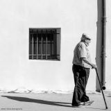 getphpbbimage.php?id=245223