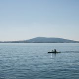 getphpbbimage.php?id=245775