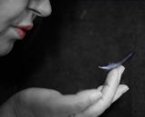 getphpbbimage.php?id=245998