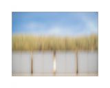 getphpbbimage.php?id=246281