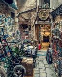 getphpbbimage.php?id=246636