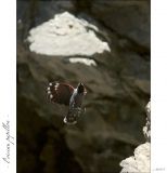 getphpbbimage.php?id=246790