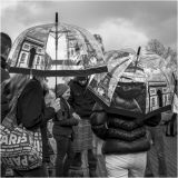 getphpbbimage.php?id=246795