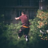 getphpbbimage.php?id=247332