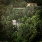 getphpbbimage.php?id=248312