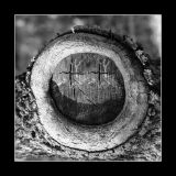 getphpbbimage.php?id=248990