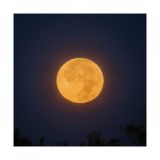 getphpbbimage.php?id=249274