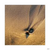 getphpbbimage.php?id=249303