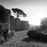 getphpbbimage.php?id=249666