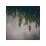 getphpbbimage.php?id=249756