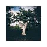 getphpbbimage.php?id=249757