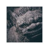 getphpbbimage.php?id=249758