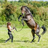 getphpbbimage.php?id=250027