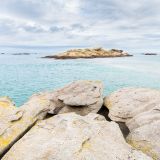 getphpbbimage.php?id=250100