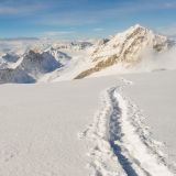 getphpbbimage.php?id=250367