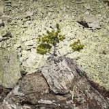 getphpbbimage.php?id=250571