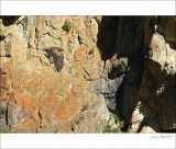 getphpbbimage.php?id=251233