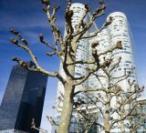 getphpbbimage.php?id=251375