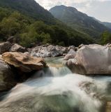 getphpbbimage.php?id=251736