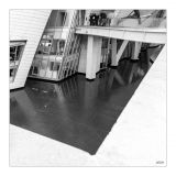 getphpbbimage.php?id=251762