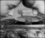 getphpbbimage.php?id=251781