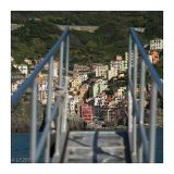 getphpbbimage.php?id=252168