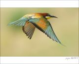 getphpbbimage.php?id=252425