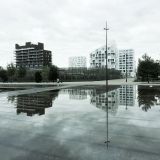 getphpbbimage.php?id=252592