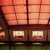 getphpbbimage.php?id=252831