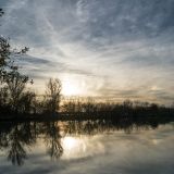 getphpbbimage.php?id=253122