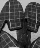 getphpbbimage.php?id=253517