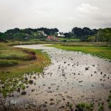 getphpbbimage.php?id=253526