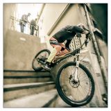 getphpbbimage.php?id=253719