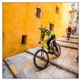 getphpbbimage.php?id=253723