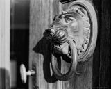 getphpbbimage.php?id=254022