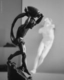 getphpbbimage.php?id=254024