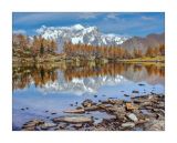 getphpbbimage.php?id=254772