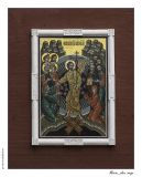 getphpbbimage.php?id=254782